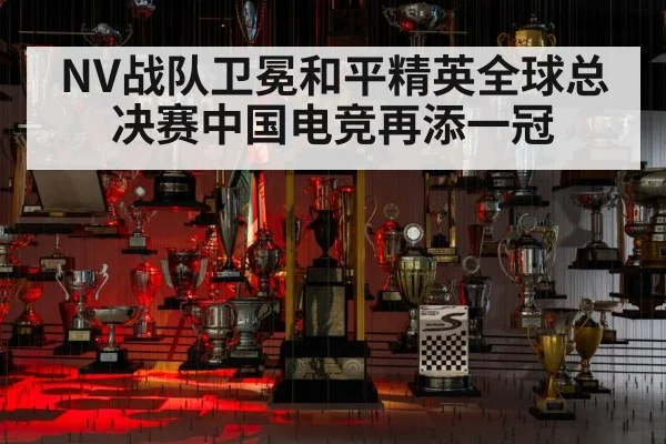 NV战队卫冕和平精英全球总决赛中国电竞再添一冠