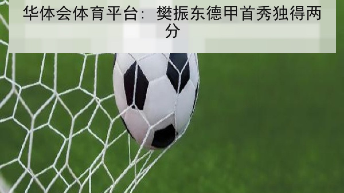 华体会体育平台: 樊振东德甲首秀独得两分